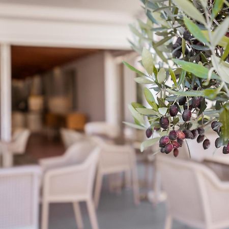 Paul Marie Hotel Apartments 아이아 나파 외부 사진